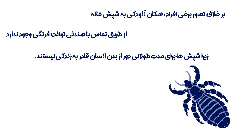 شپش ناحیه تناسلی