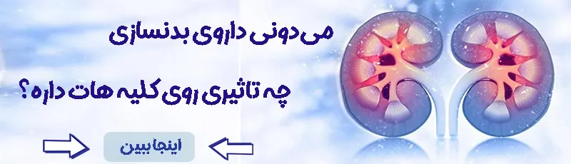 تاثیر دارو بر کلیه
